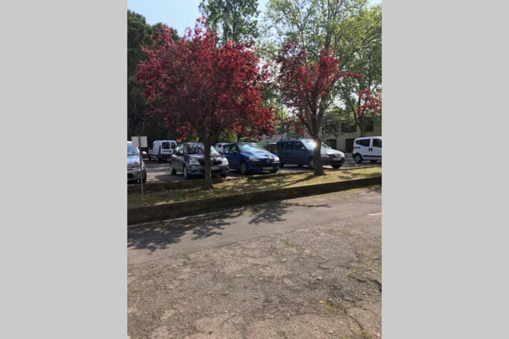 Bel Appartement Avec Vue Et Parking Prive เบซิเยร์ ภายนอก รูปภาพ