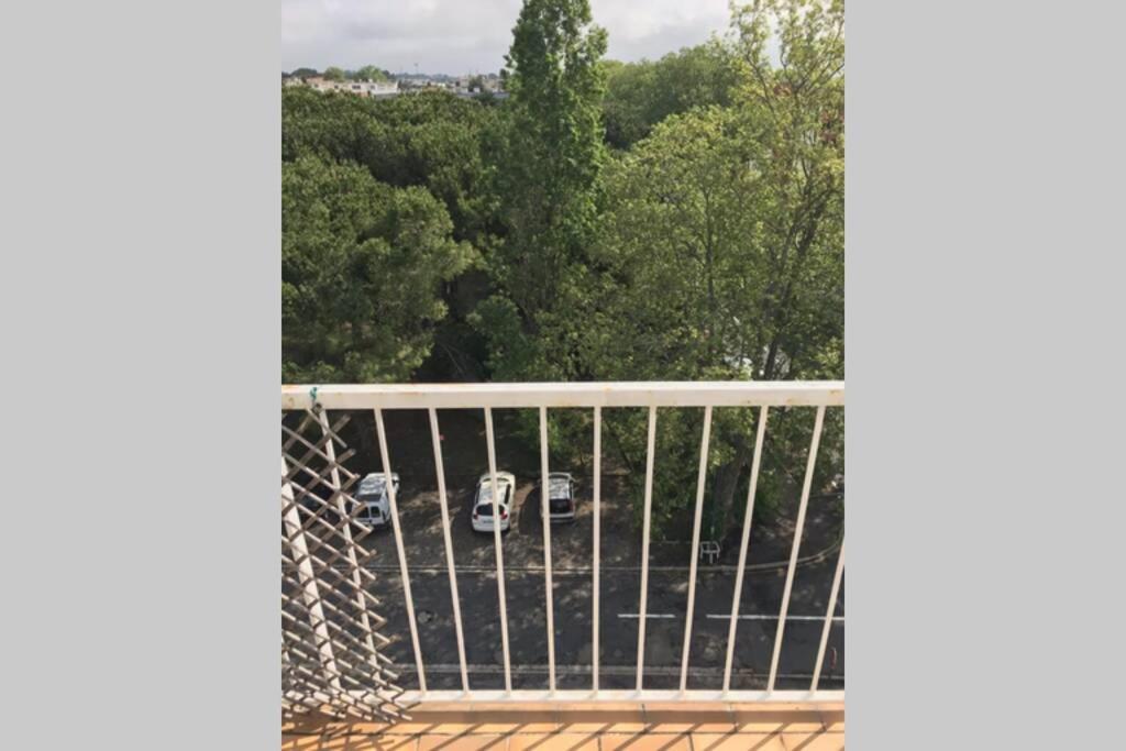 Bel Appartement Avec Vue Et Parking Prive เบซิเยร์ ภายนอก รูปภาพ